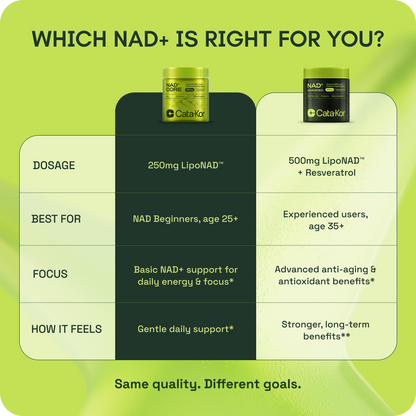 Cata-Kor NAD+ Core - NAD Supplement 250MG
