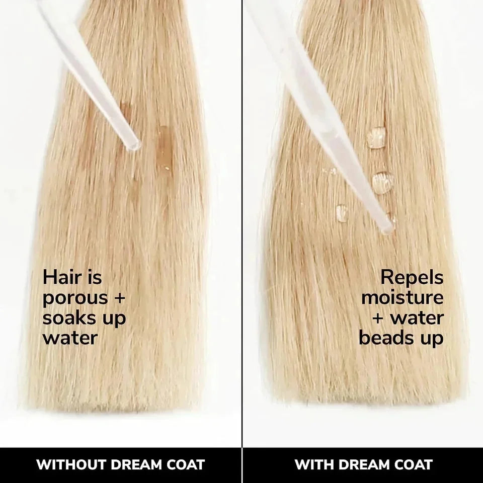 Haircare Color Wow Spray Brillance Cheveux Dream Coat
